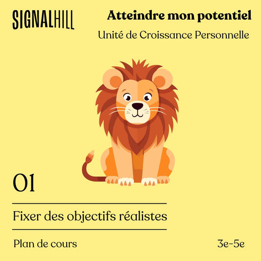 Plan de cours 1: Fixer des objectifs réalistes