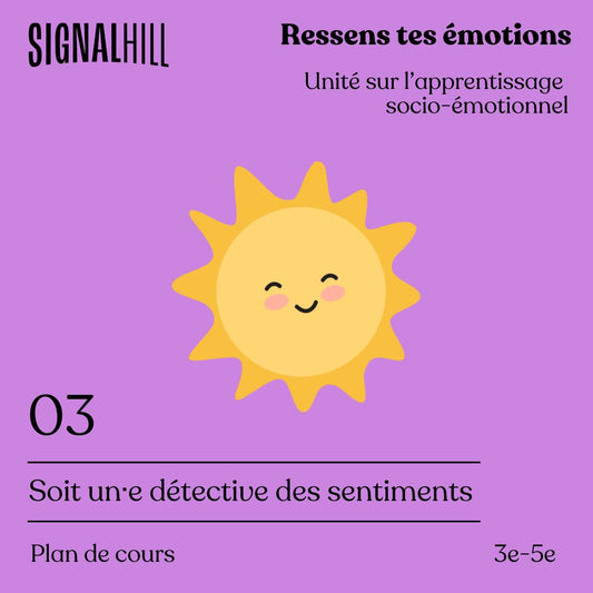 Plan de cours 3: Soit un·e détective des sentiments