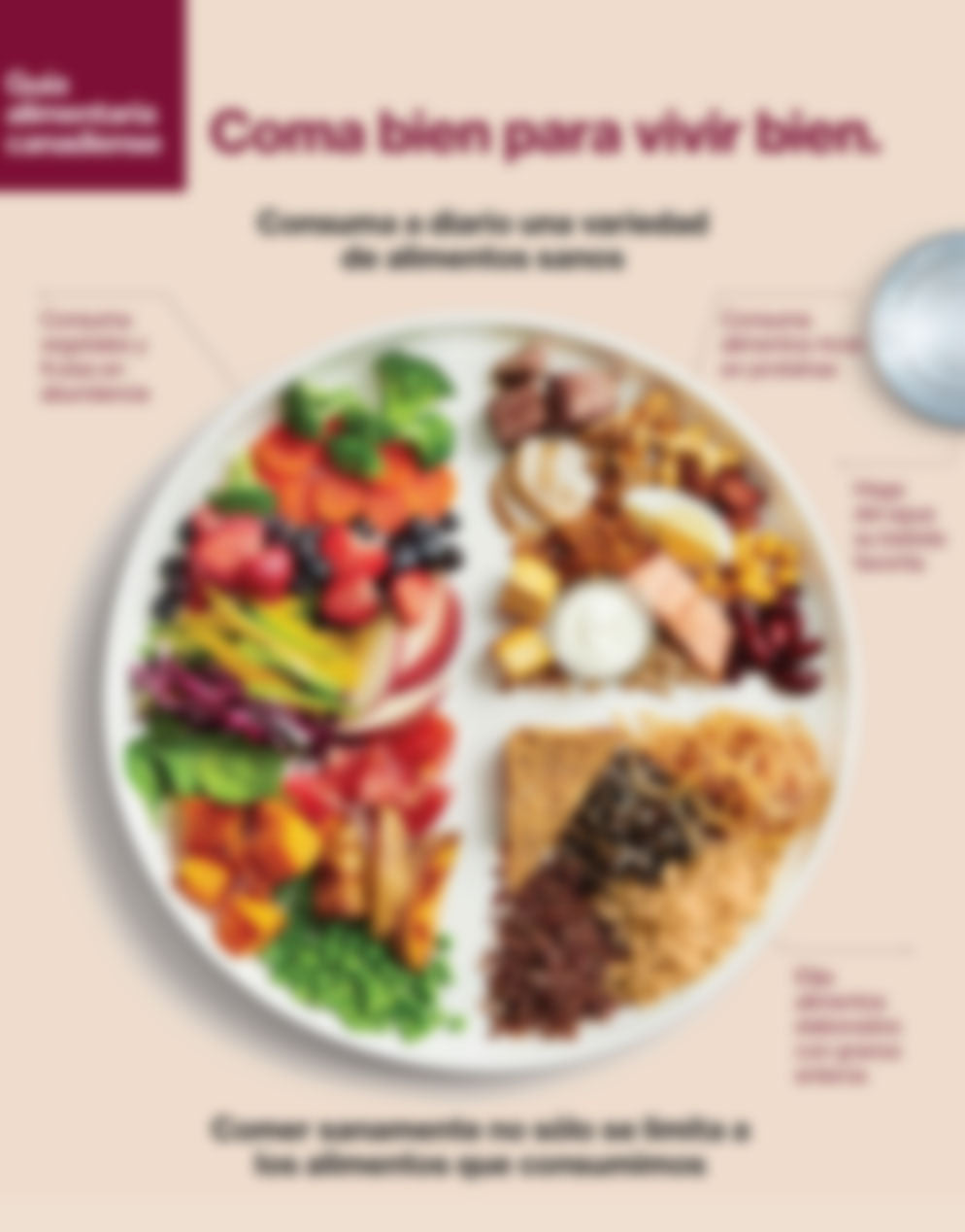 Lección 1: Nutriendo mi cuerpo