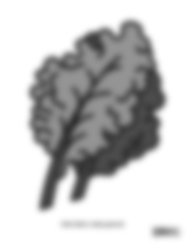 Lesson Plan 4: Food Fuels My Brain