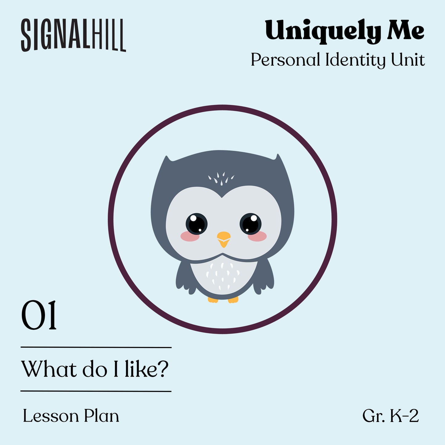 Lesson Plan 1: What Do I Like?