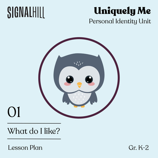 Lesson Plan 1: What Do I Like?