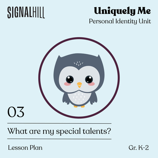 Lesson Plan 3: What Are My Special Talents?