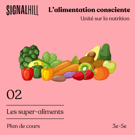 Plan de cours 2: Les super-aliments