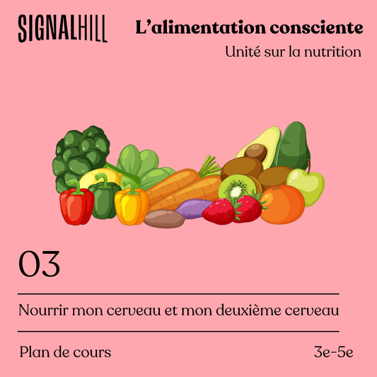 Plan de cours 3: Nourrir mon cerveau et mon deuxième cerveau