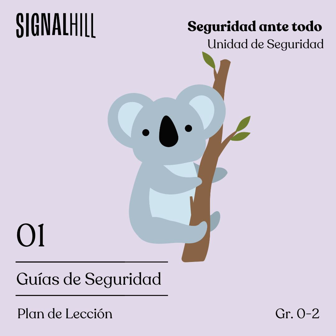 Lección 1: Guías de Seguridad