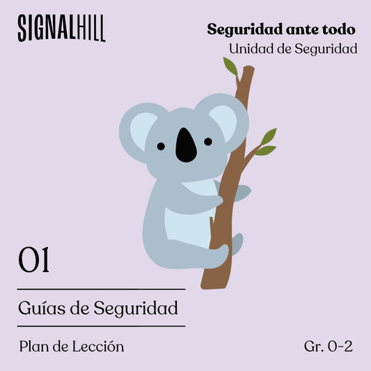 Lección 1: Guías de Seguridad