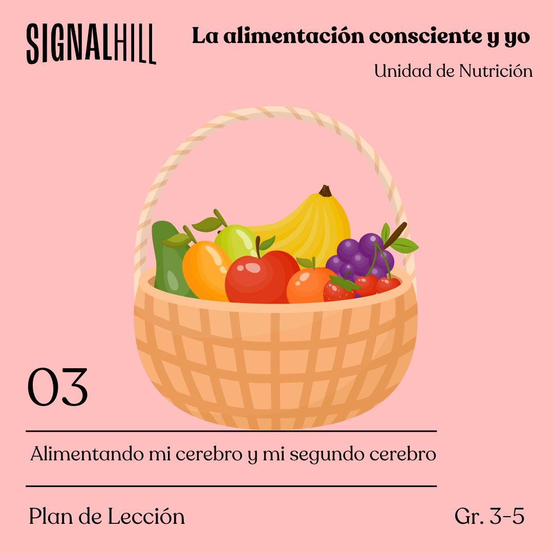 Lección 3:  Alimentando mi cerebro y mi segundo cerebro