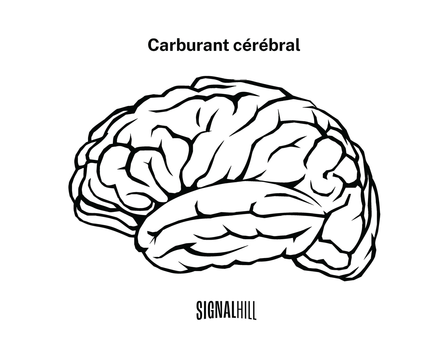 Plan de cours 4: La nourriture alimente mon cerveau