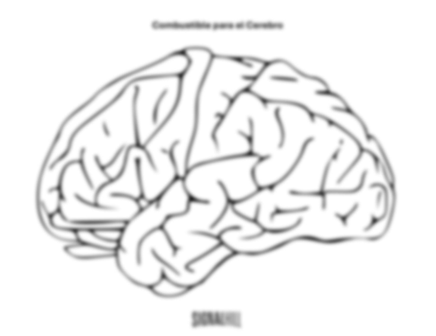 Lección 4: Los alimentos nutren mi cerebro