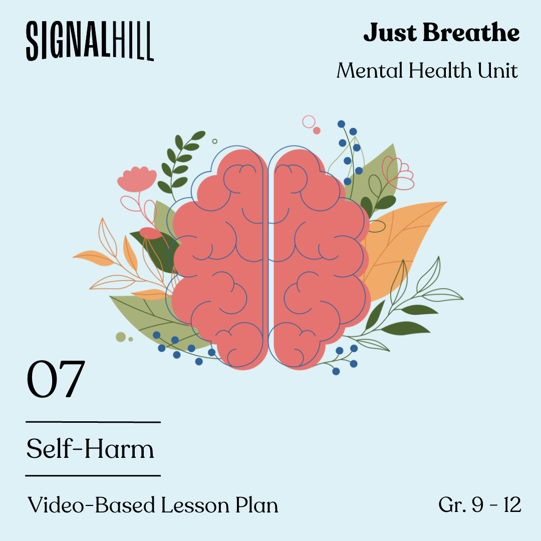 Lesson Plan 7: Self-Harm