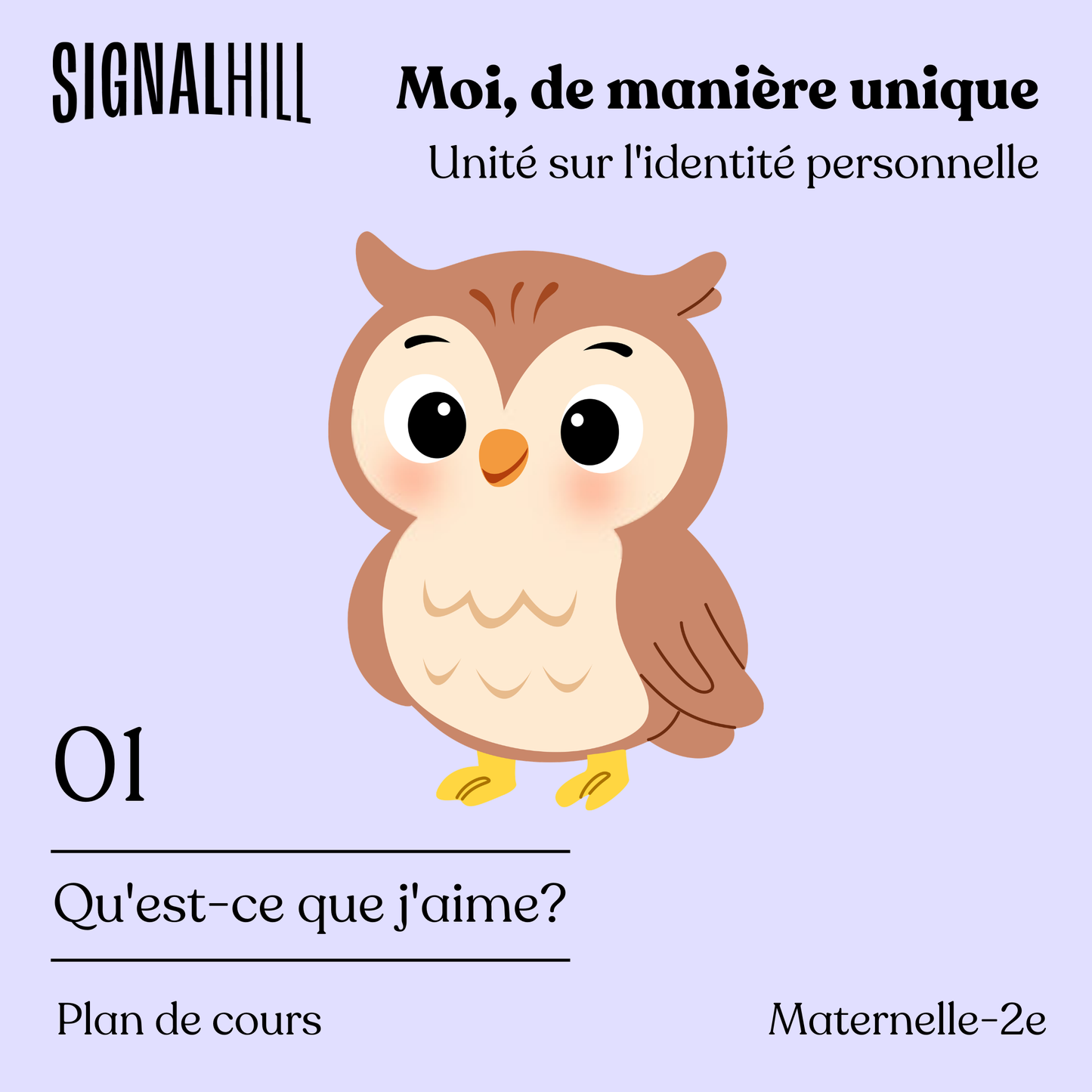 Plan de cours 1: Qu'est-ce que j'aime?