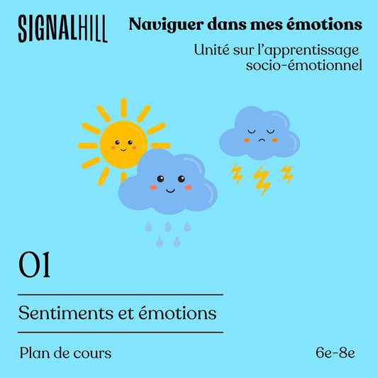 Plan de cours 1: Sentiments et émotions