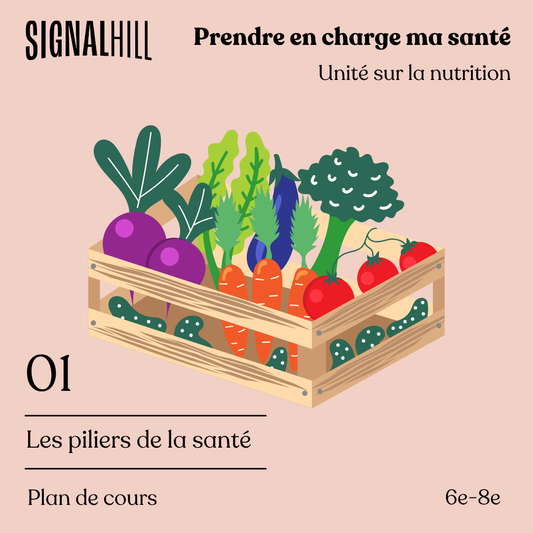 Plan de cours 1: Les piliers de la santé