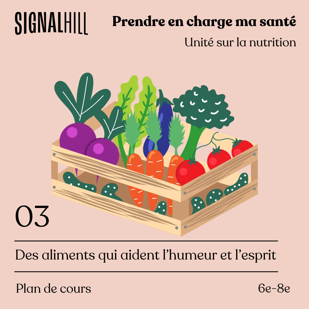Plan de cours 3: Des aliments qui aident l’humeur et l’esprit