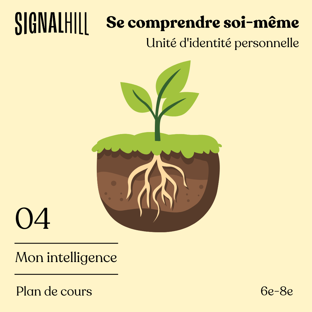 Plan de cours 4 : Mon intelligence