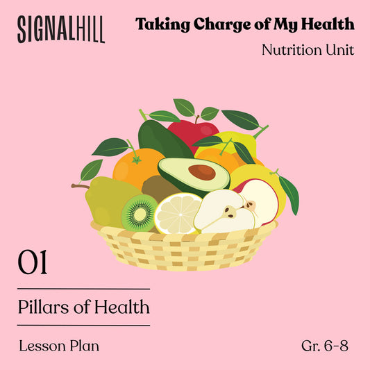 Lesson Plan 1: Pillars of Health